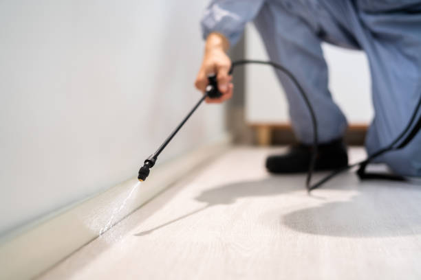 Licensed Mosquito Control service in Anchorage, AK - Show Me Pest Control