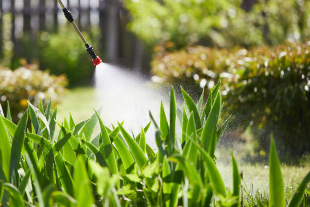 24/7 Emergency Mosquito Control experts in Anchorage, AK