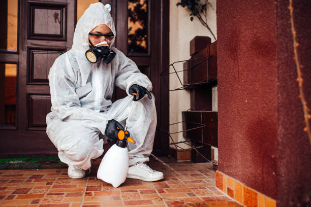 Reliable Mosquito Control contractor in Anchorage, AK by Show Me Pest Control