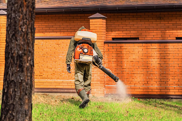Top rated local Mosquito Control specialists in Anchorage, AK
